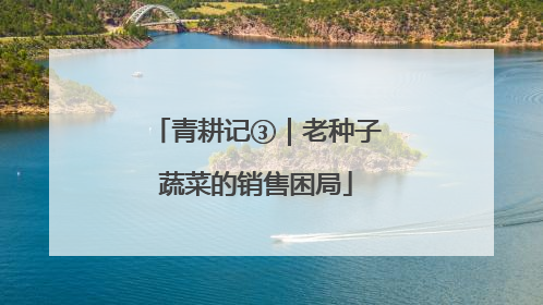 青耕记③｜老种子蔬菜的销售困局